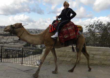 A Brave Sister of the Mud Rides a Camel