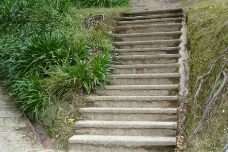 New Zealand Steps