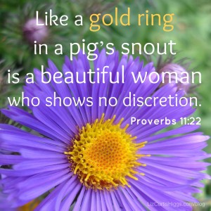 Proverbs 11:22 in Words and Image