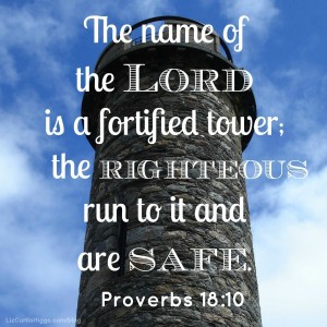 Proverbs 18:10 Photo with Words